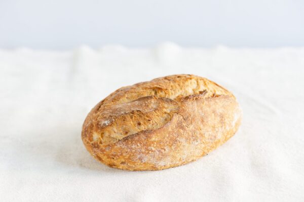 Asiago Boulot