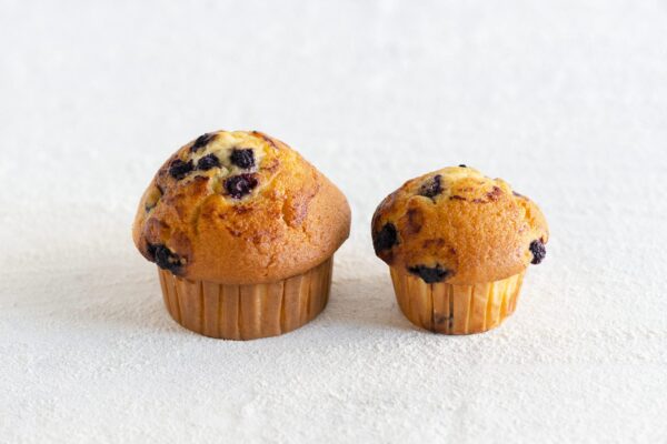 blueberry muffins