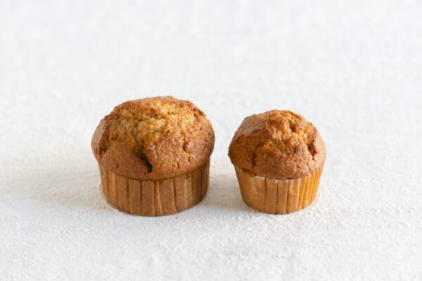 Bran Muffin