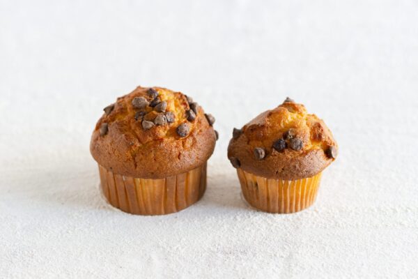 Chocolate Muffin
