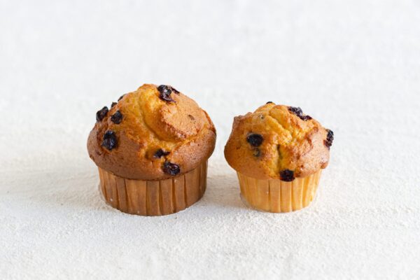 Cranberry Muffin