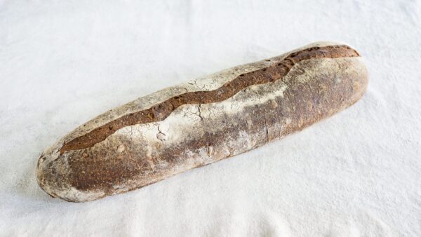 Walnut Magnum